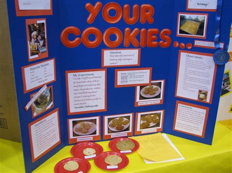 10 Great Elementary Science Fair Project Ideas 2024