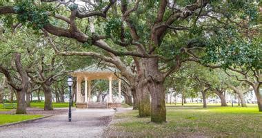 Best Things To Do In Charleston Sc