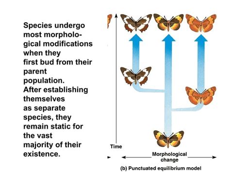 Ap Chapter 24 The Origin Of Species