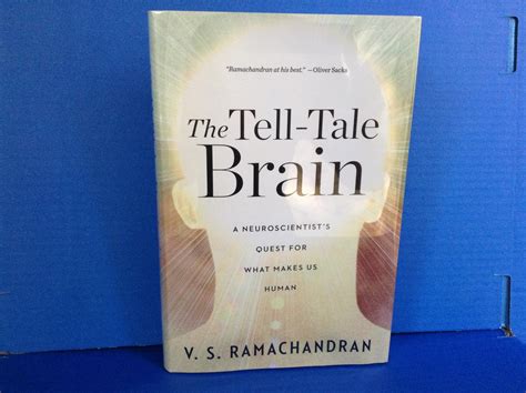 The Tell-Tale Brain : A Neuroscientist's Quest for What Makes Us Human par Ramachandran, V. S ...