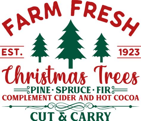 Farm Fresh Christmas Trees Pine Spruce Fir Complement Cider And Hot