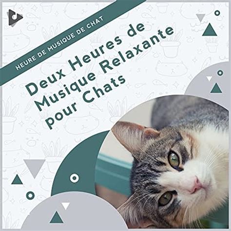 Deux Heures De Musique Relaxante Pour Chats Von Heure De Musique De