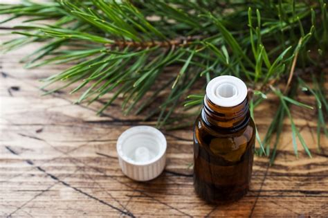 Premium Photo Cedar And Spruce Essential Oil In Small Glass Bottle