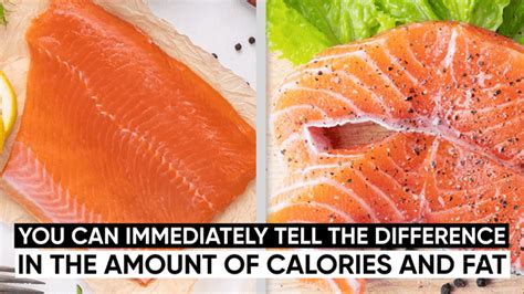 This Is Because Farm Raised Salmon Contains Significantly More Fat Than