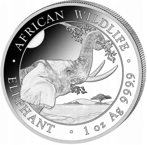 Nieakredytowany African Wildlife Słoń Somalijski 1Oz Srebra 2023