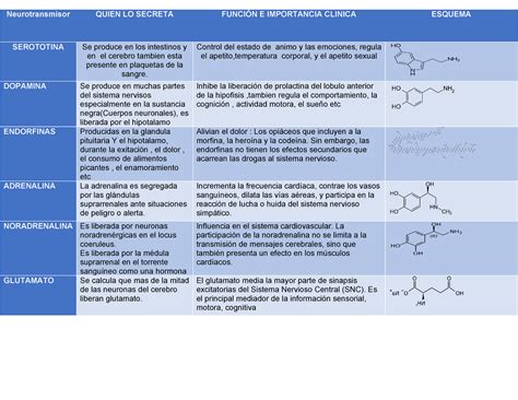 Hormonas Y Neurotransmisores Neurotransmisor Quien Lo Secreta FunciÓn E Importancia Clinica