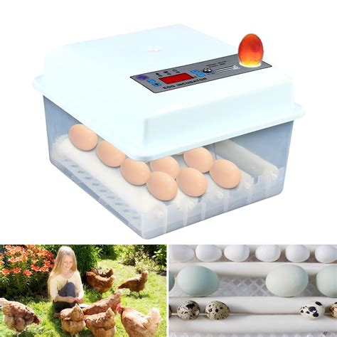 Fully Automatic Eggs Incubator Digital Egg Incubator With Automatic