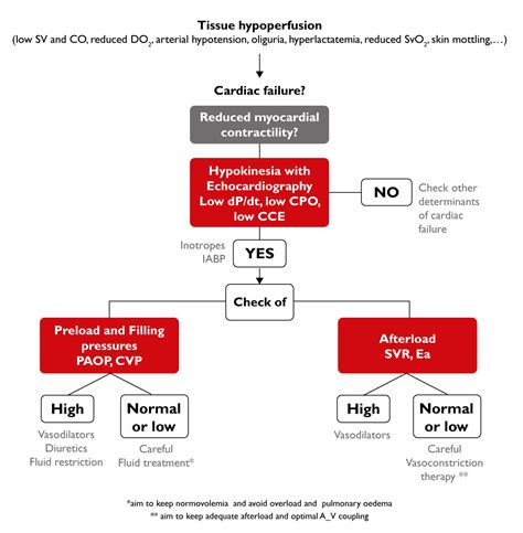 Cardiac Failure Hemodynamic Management Vygon