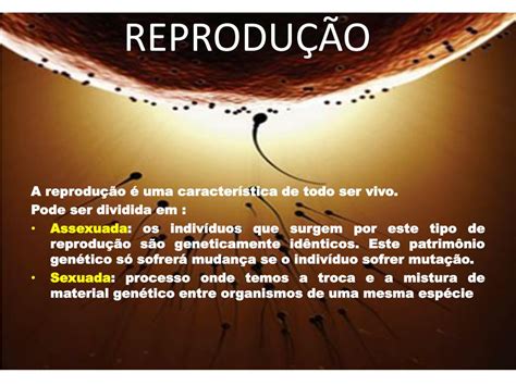 Ppt ReproduÇÃo Powerpoint Presentation Free Download Id 5300260