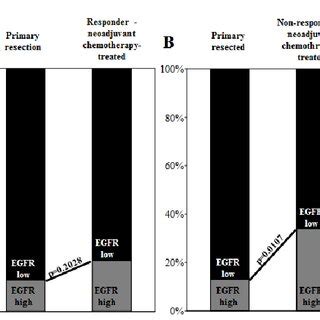 EGFR overexpression and EGFR /Chromosome-7 ratio are molecular factors ...