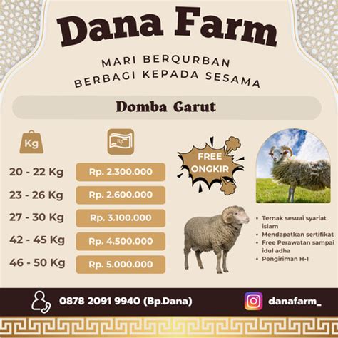 Jual Hewan Qurban Domba Kambing Kurban Bobot Kg Dp Kota