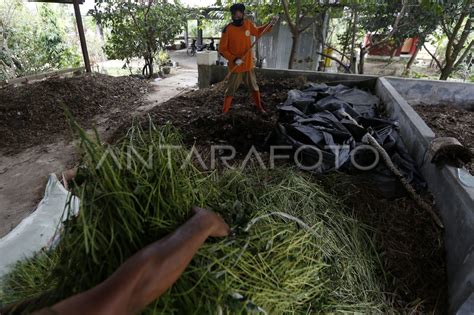 Pengolahan Pupuk Kompos Dari Sampah Kota Antara Foto