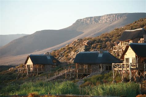 Aquila Game Reserve, Western Cape - Safaris Down South