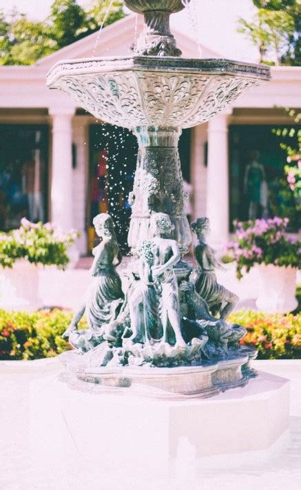 The Science Behind The Fountain Of Youth Forever Youthful