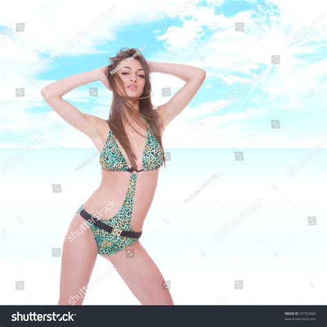 Sexy Bikini Model Over Sea Background Stock Photo 53753464 Shutterstock