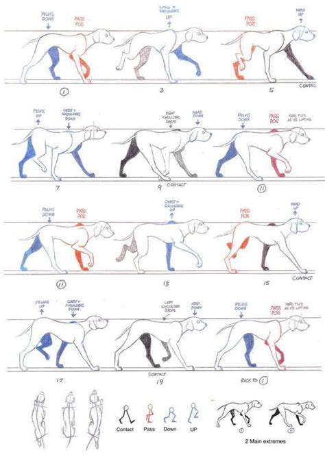 담아간 이미지 Animation Storyboard Animation Sketches Animation Reference