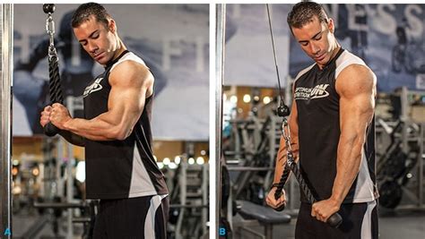 Arms By Alex: Strong Biceps And Triceps Workout