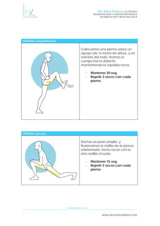 Rutina Ejercicios De Estiramientos Pdf