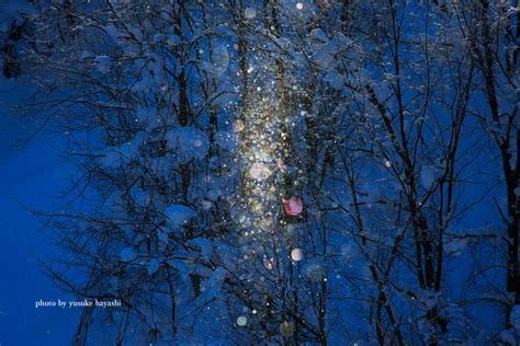 七色に光るダイヤモンドダスト〜美瑛の冬の絶景〜 美瑛・富良野 写真撮影ツアー 北海道 美瑛の写真家 林 祐介のphoto Office Siknu