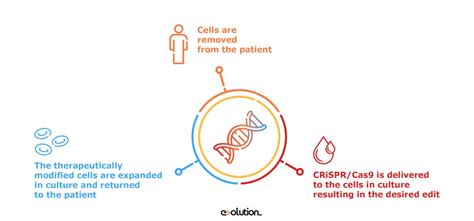 Cancer And The Nobel Winner Technology Crispr Evolution Europe