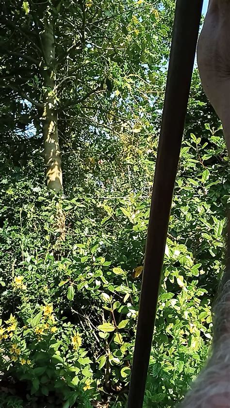 The Naked Gardener Gay Striptease Amateur Porn XHamster