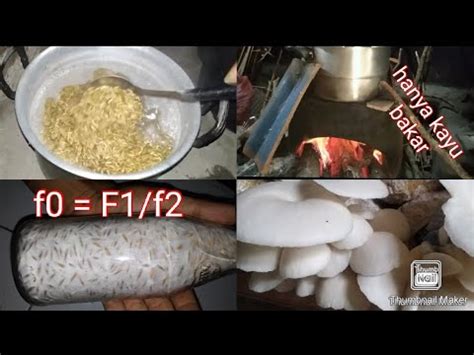 Cara Membuat Bibit Jamur Tiram How To Make Baby Mushrooms YouTube