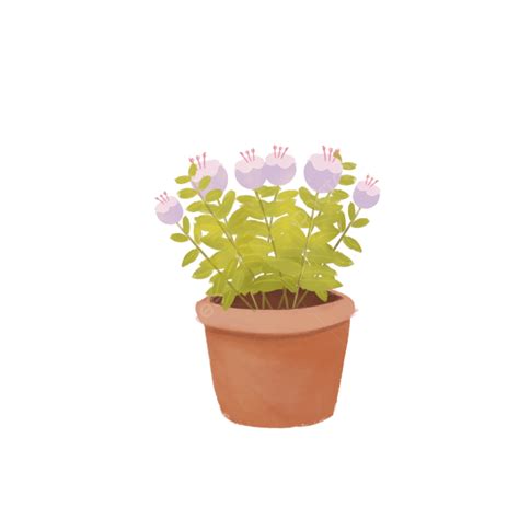 Maceta Png Flores Plantas En Maceta Png S Flores Png Y Psd Para Porn