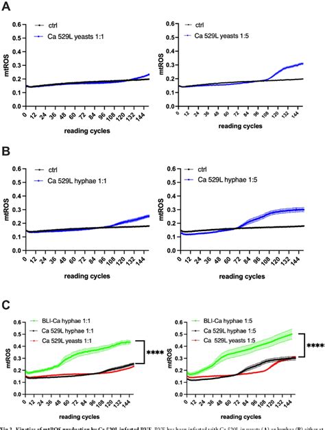 Figure 3 From Fungal Burden Dimorphic Transition And Candidalysin Role In Candida Albicans