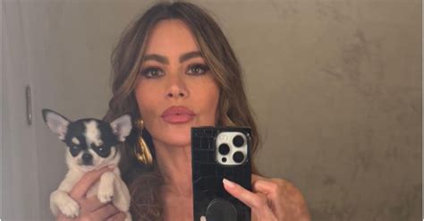 Sofía Vergara tiene nuevo novio Esto publicó con cirujano que la