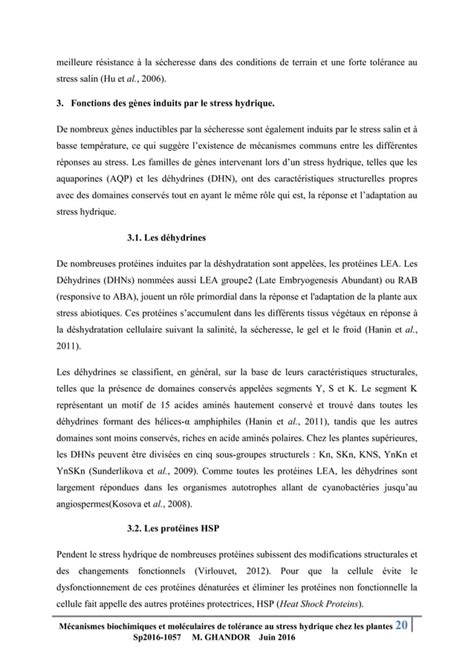 M Canismes Biochimiques Et Mol Culaire De Tol Rance Au Stress Hydrique