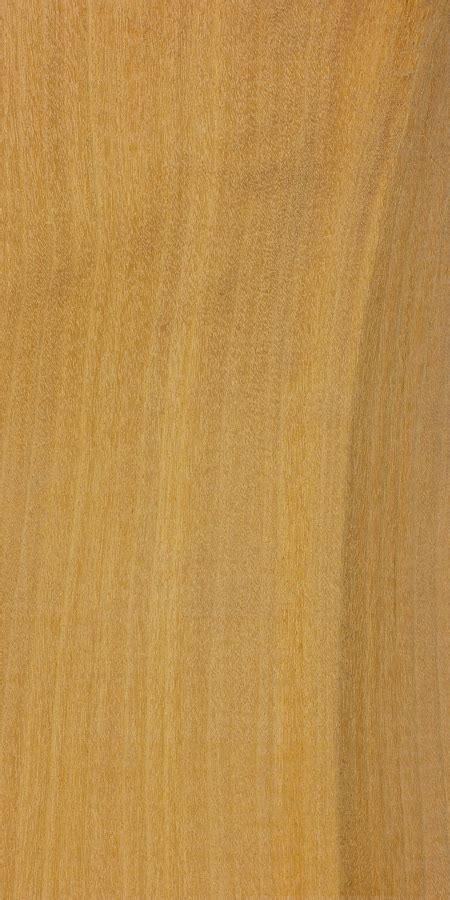 East Indian Satinwood | The Wood Database (Hardwood)