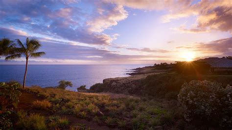 Images of LANAI - JapaneseClass.jp