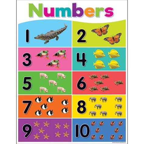 Colorful Numbers 1-10 Chart - TCR7927 | Teacher Created Resources | Math