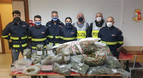 La Polizia Arresta Due Trafficanti Di Droga E Sequestra Una Serra Dove