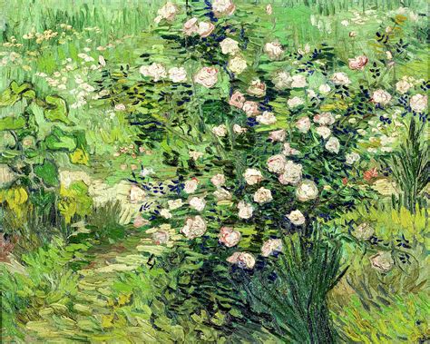 Roses Painting by Vincent Van Gogh - Pixels