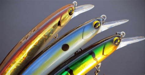 Types of Bass Lures - Justagric