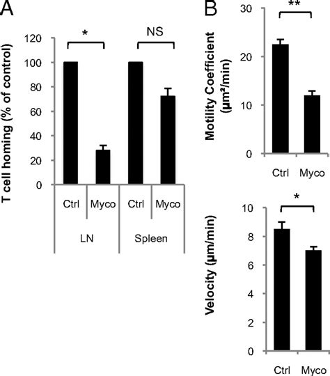 Mycolactone Impairs T Cell Homing By Suppressing MicroRNA Control Of L