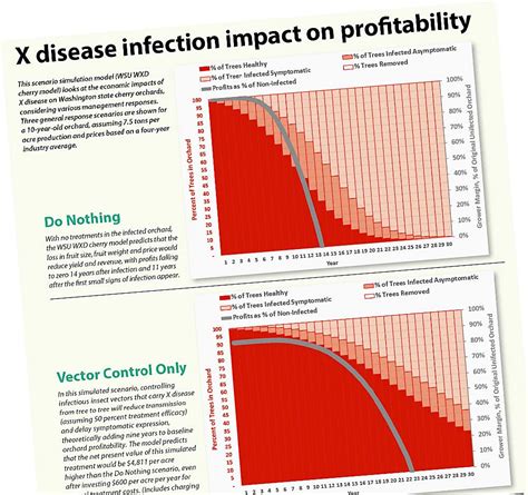 It Pays To Prevent Further X Disease Infections Good Fruit Grower