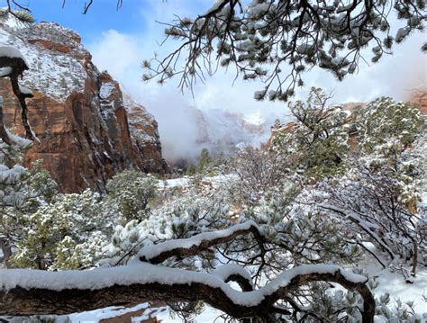 Why You Need to Visit Zion National Park in Winter - Danielle Outdoors