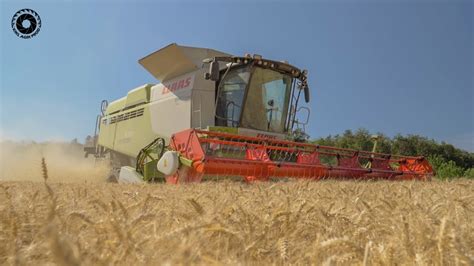 Moisson De Bl Semences En Suisse Claas Lexion Tt Cerf