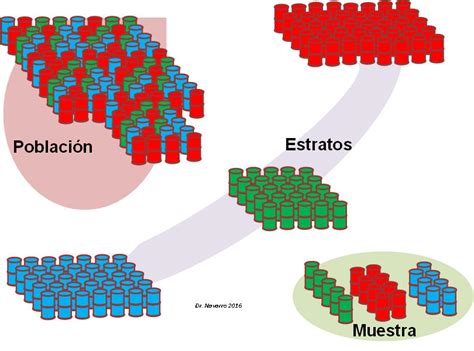 Tecnica De Muestreo Ejemplos Usan