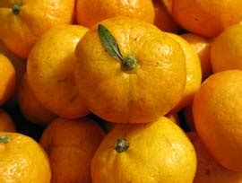 Market Manila - Kiat-kiat / Mandarin Oranges - General