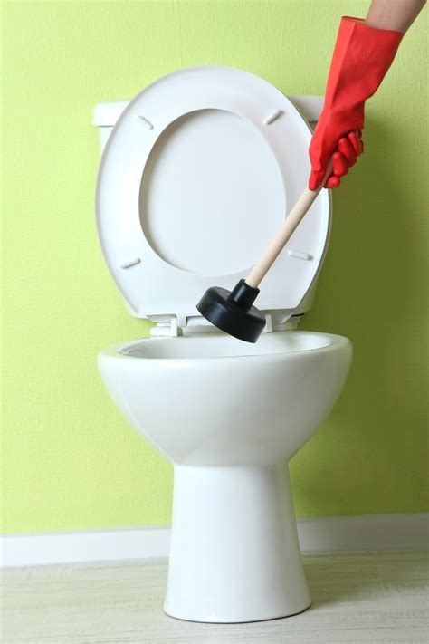 Guide Pour D Boucher Les Toilettes Efficacement