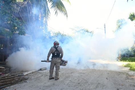 SESA realiza acciones intensivas de nebulización termonebulización y