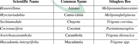 Crops for which stingless bees make an important contribution to ...