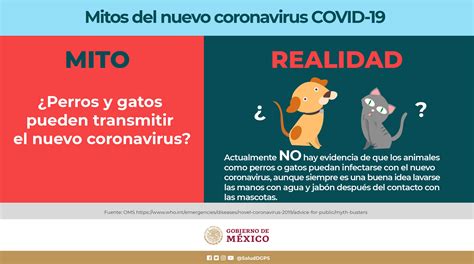 Covid Mitos Y Realidades Secretar A De Salud Gobierno Gob Mx