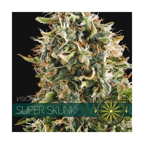 Super Skunk Vision Seeds Feminisiert Zamnesia