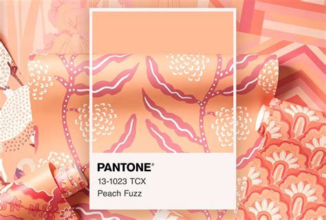 Spoonflower X Pantone Peach Fuzz Collab Rings