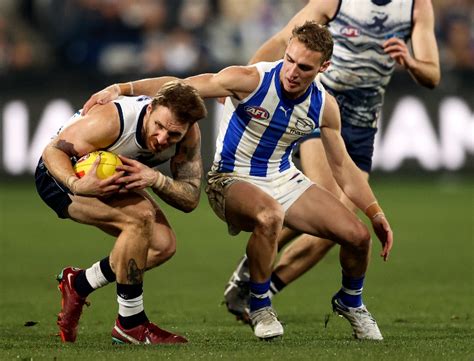 Geelong Cats Vs North Melbourne Tips And Preview Cats Set For Big Win Over The Roos