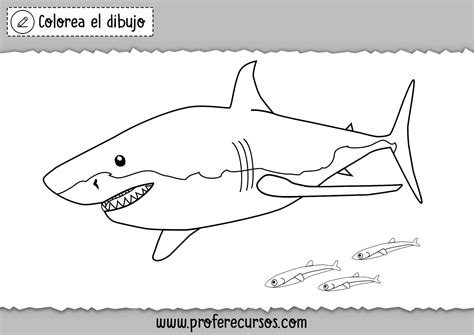 Tiburones Para Colorear